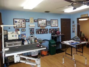 Grooming Shop for Sale