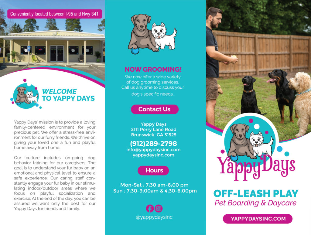 Outline_Brochure Outer01 Pet Businesses for Sale